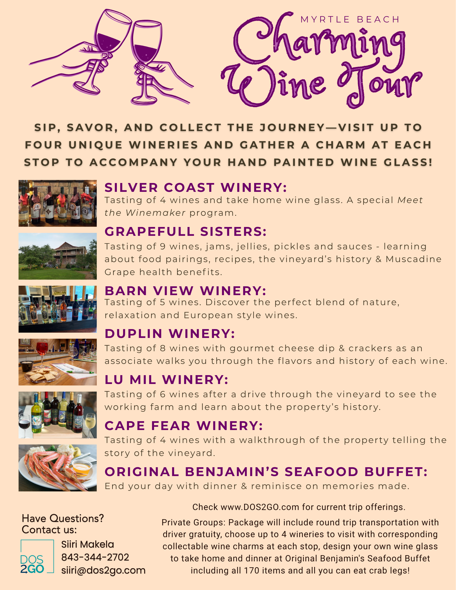 Charming Wine Tour Flyer